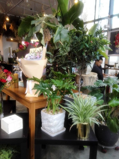 咖啡馆｜鲜花和咖啡花店里的咖啡馆——北京地铁5号线咖啡馆