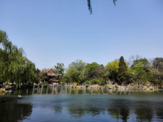 咖啡馆｜容纳孤独和热闹的地方，北大校园里的咖啡馆——北京地铁4号线咖啡馆