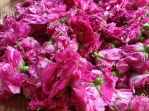 芳疗 |平阴玫瑰纯露提取——玫瑰妙生活（八）