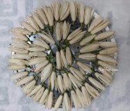 心素｜满满小时候气息的黄葛兰与曼陀罗