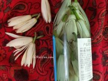 花食｜芬芳养生的黄葛兰酒